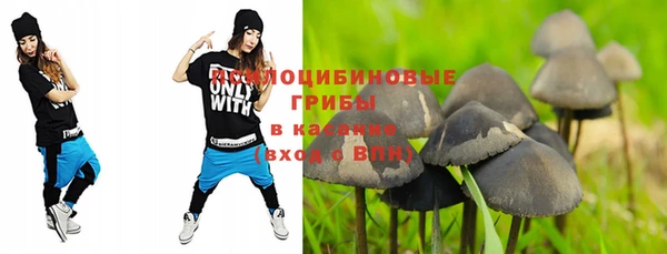 2c-b Богданович
