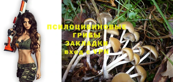 мяу мяу мука Беломорск