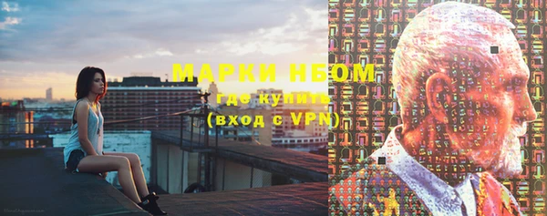 хмурый Богородск